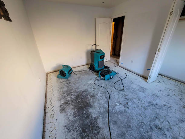  Dewitt, IA Water damage restoration Pros