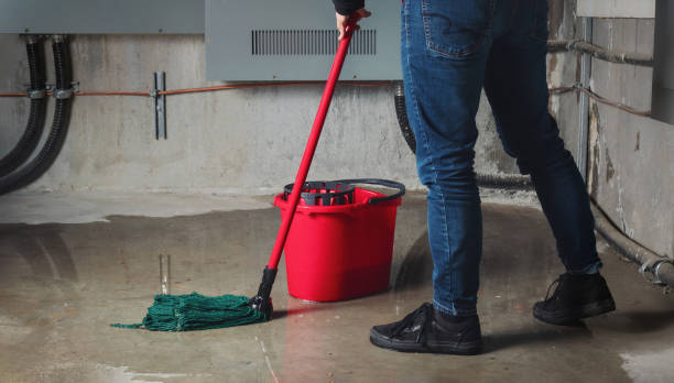 Best Water damage restoration cost  in Dewitt, IA